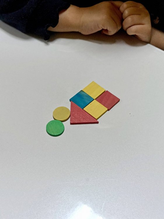 img (6)